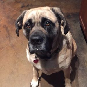 Meet your Posher, Regan